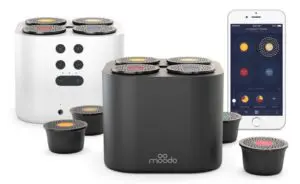 מפיץ הריח MOODO צילום יחסי ציבור
